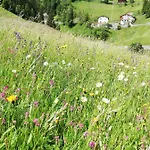 Cesa De Conesel Colle Santa Lucia