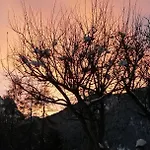 Apartamento Cesa De Conesel Colle Santa Lucia