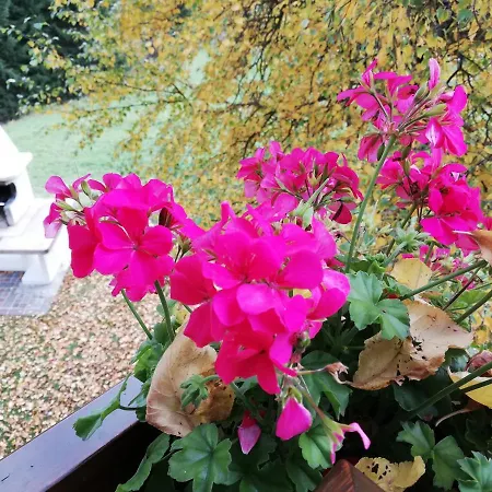 Cesa De Conesel 科莱圣卢恰