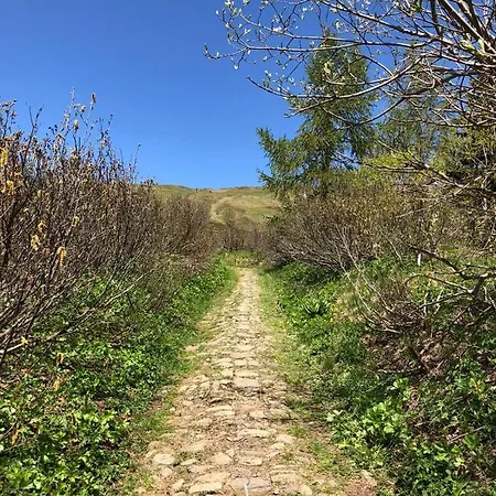 Cesa De Conesel Appartamento Colle Santa Lucia