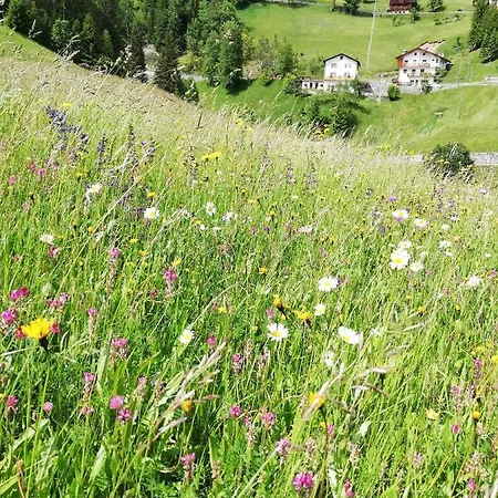 Cesa De Conesel Colle Santa Lucia