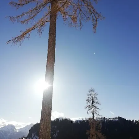 Appartamento Cesa De Conesel Colle Santa Lucia