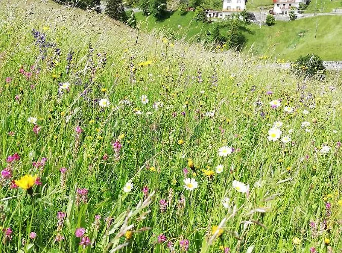 Cesa De Conesel Colle Santa Lucia