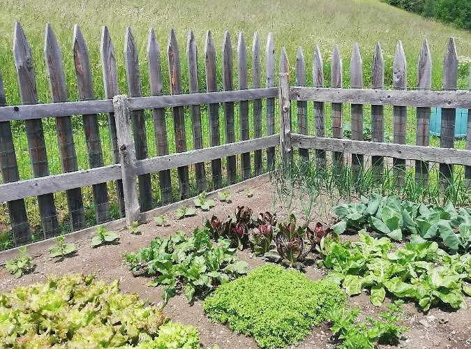 Apartamento Cesa De Conesel Colle Santa Lucia